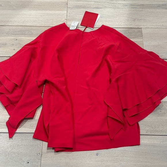 Carolina Herrera Ruffle Sleeve Blouse - Picture 10 of 10